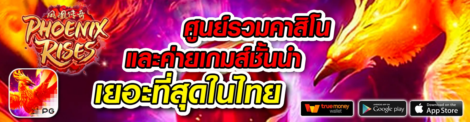 ไทเกอร์24